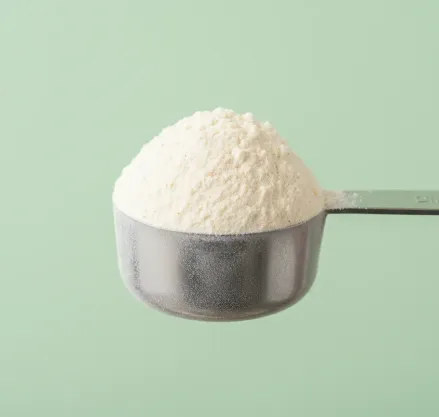 Protein powder 