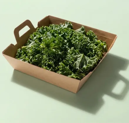 Salad w/ Kale